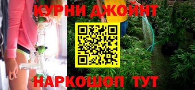 индика Моздок