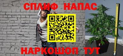 индика Моздок