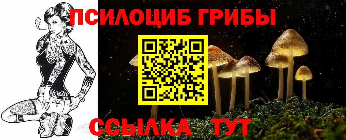 как найти   Вход с VPN  Сертолово  Псилоцибиновые грибы MAGIC MUSHROOMS  Галлюциногенные грибы Psilocybe 